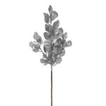 Pick-Basico-Hojas-Planas-Silver-Krea-1-890716