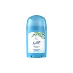 Desodorante-Femenino-Secret-Ducha-Barra-48g-1-938948