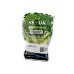 Lechuga-Crispy-Hidroponica-Vequa-1-894763