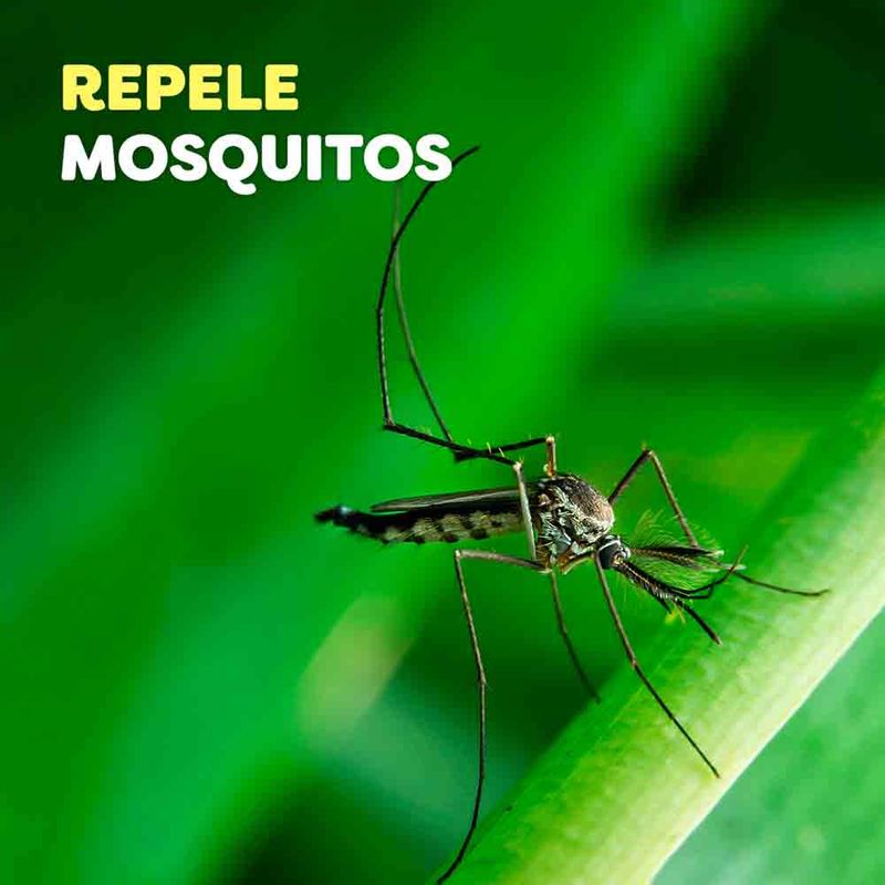 Repelente-Insectos-Off-Extra-Duracion-Spray-1-5-898887