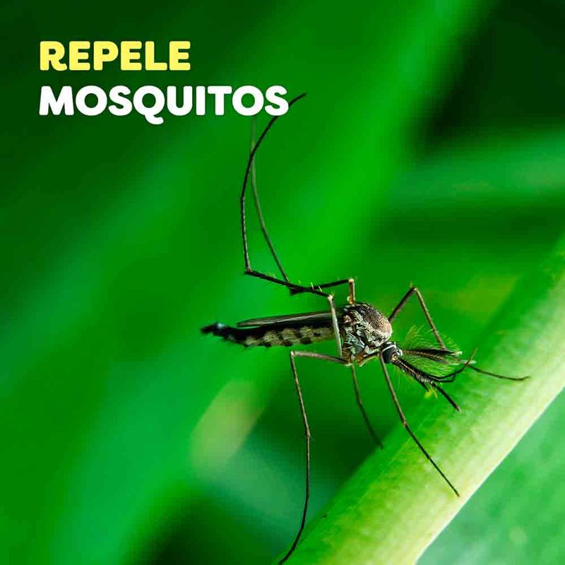 Repelente-De-Insectos-Off-Family-Aerosol-170ml-5-891952