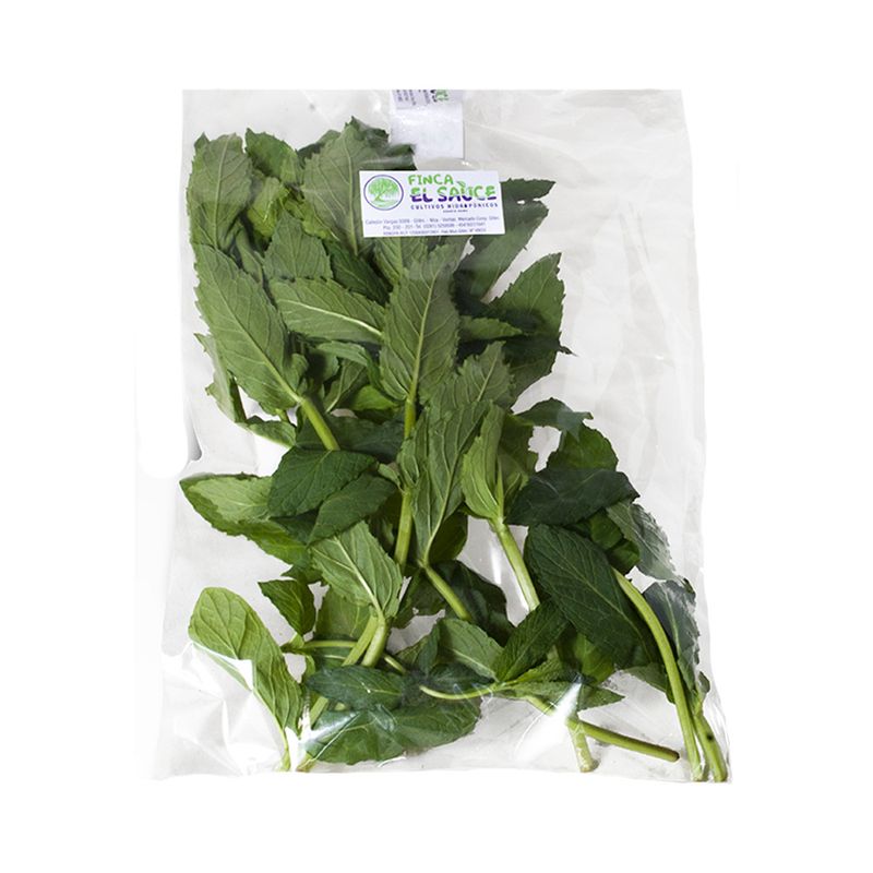 Menta-X-25-Grs-1-940513