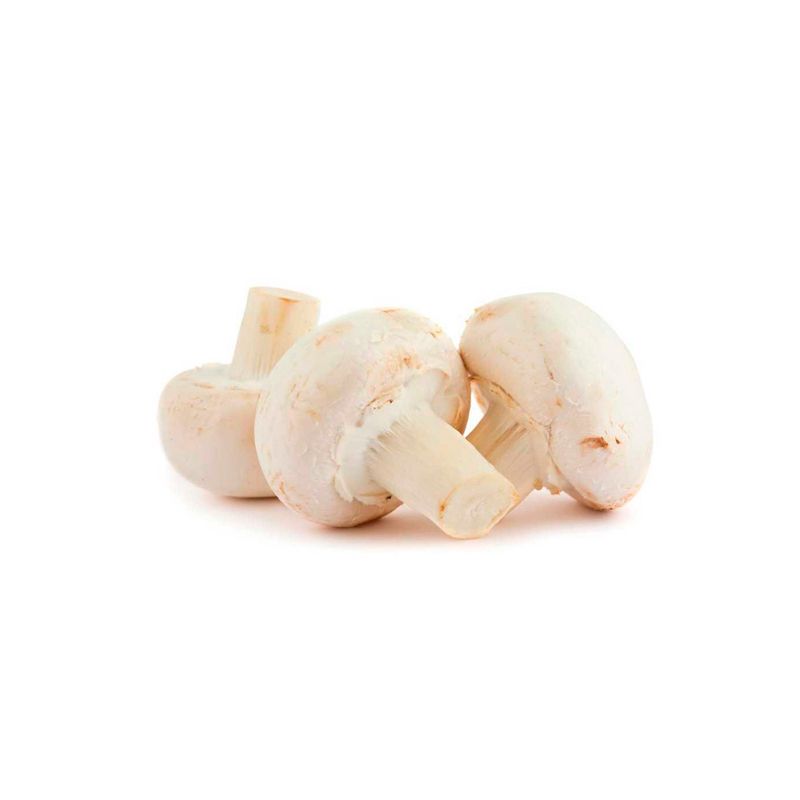 Champignones-Sin-Atributo-Sin-Atributo-Sin-Atributo-Sin-Atributo-1-11242