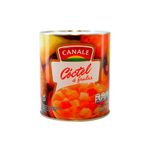 Coctel-5-Frutas-485g-Canale-1-941609