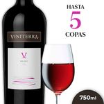 Vino-Tinto-Viniterra-Malbec-750-Cc-1-33048