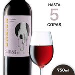 Vino-Tinto-Omnium-Cabernet-Sauvignon-750-Cc-1-33136