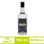 Gin-Rider-750cc-1-941806