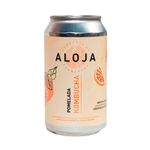 Kombucha-Aloja-Pomelada-X-354ml-1-892088