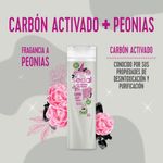 Shampoo-Sedal-Carbon-Y-Peonias-340ml-4-944680