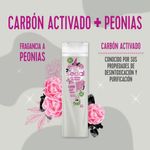 Shampoo-Sedal-Carbon-Y-Peonias-650ml-4-944681