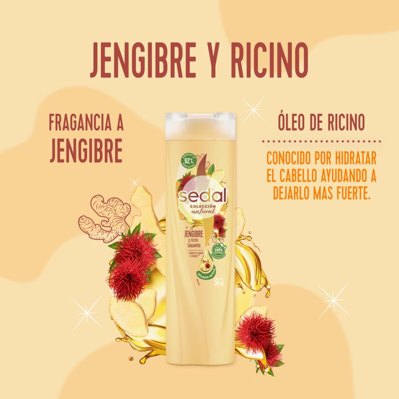 Shampoo-Sedal-Jengibre-Y-Ricino-190ml-5-944679