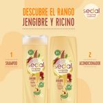 Shampoo-Sedal-Jengibre-Y-Ricino-650ml-4-944674