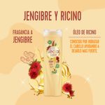 Shampoo-Sedal-Jengibre-Y-Ricino-650ml-5-944674