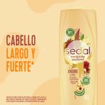 Shampoo-Sedal-Jengibre-Y-Ricino-650ml-6-944674