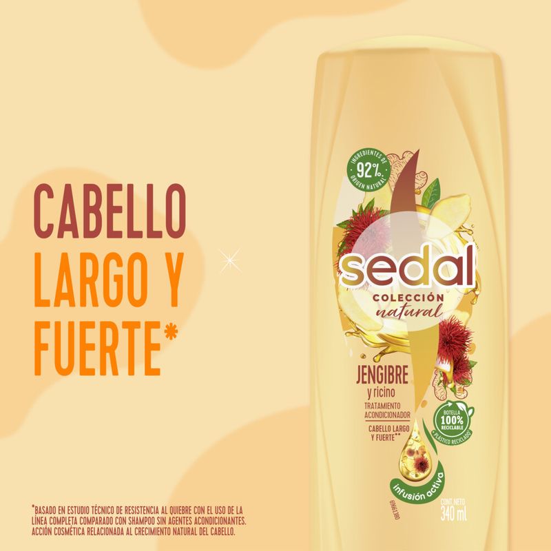 Shampoo-Sedal-Jengibre-Y-Ricino-650ml-6-944674