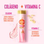 Shampoo-Sedal-Colageno-Y-Vitamina-C-650ml-6-944694