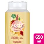Shampoo-Sedal-Jengibre-Y-Ricino-650ml-1-944674