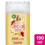 Shampoo-Sedal-Jengibre-Y-Ricino-190ml-1-944679