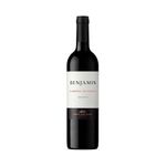 Vino-Benjamin-Senetiner-Cabernet-Sauvignon-Botella-750cc-1-887635
