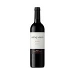 Vino-Benjamin-Nieto-Senetiner-Malbec-Botella-750cc-1-887648