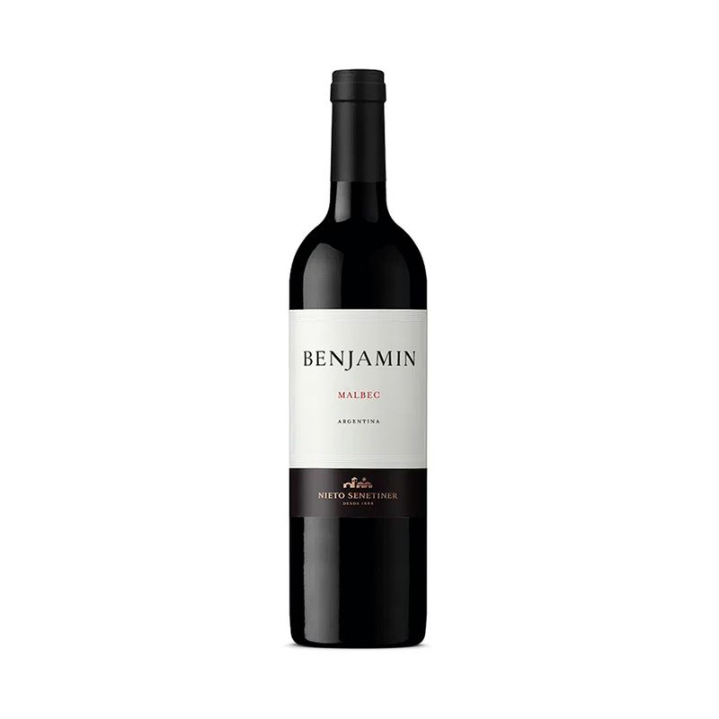 Vino-Benjamin-Nieto-Senetiner-Malbec-Botella-750cc-1-887648