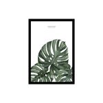 Cuadro-Nature-30x40cm-Tierra-Nativa-2-945076