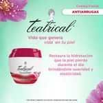Crema-Facial-Teatrical-Antiarrugas-100-Gr-3-321821