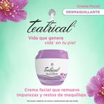 Crema-Facial-Teatrical-Desmaquillante-200-Gr-3-321814