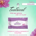 Toallitas-Teatrical-5en1-40-U-3-858923