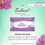 Toallitas-Teatrical-5en1-40-U-4-858923