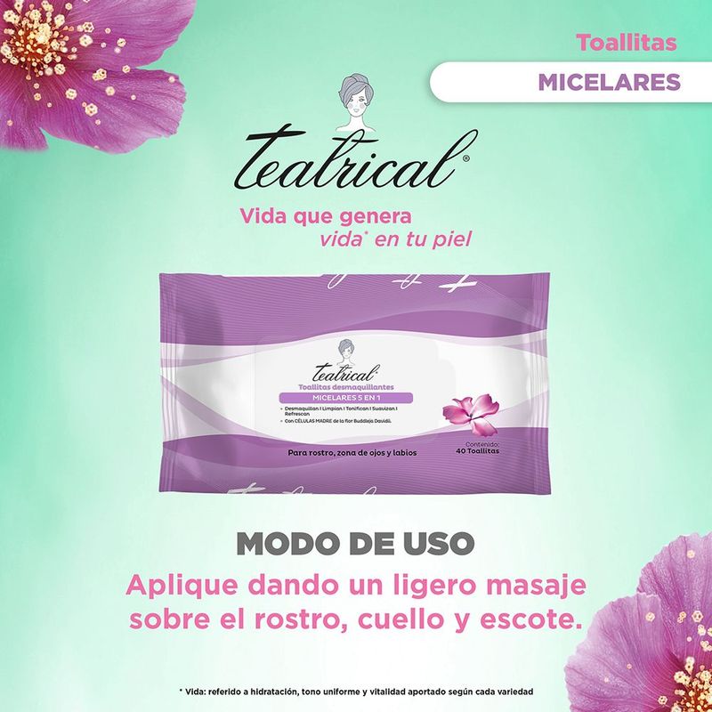 Toallitas-Teatrical-5en1-40-U-4-858923