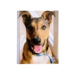 Cuaderno-29-7cm-Perros-Raya-T-f-Mis-Apuntes-3-882614