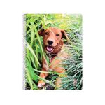 Cuaderno-29-7cm-Perros-Raya-T-f-Mis-Apuntes-4-882614