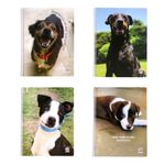 Cuaderno-29-7cm-Perros-Raya-T-f-Mis-Apuntes-1-882614