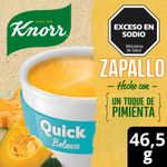 Sopa-Knorr-Quick-Zapallo-Light-46-5g-1-945229