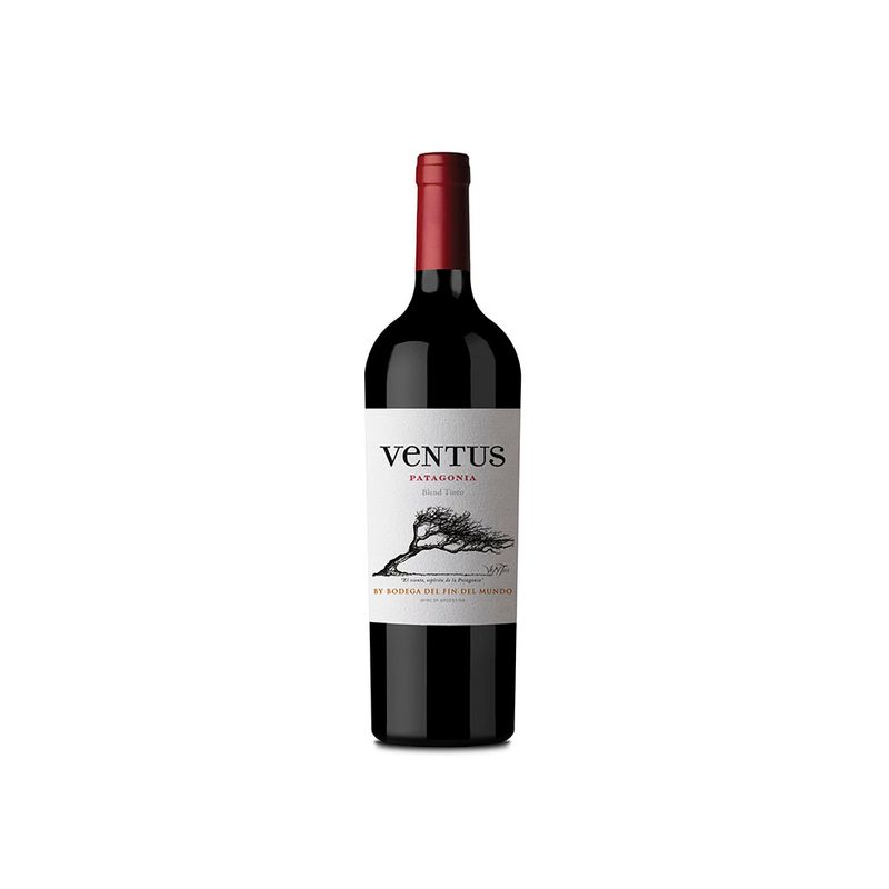 Vino-Ventus-Tinto-750cc-1-947114