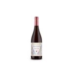 Vino-Fin-Del-Mundo-Organic-Vineyards-Pinot-Noi-1-947121