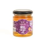 Miel-Nectar-De-Los-Dioses-Natural-Frasco250g-1-853891