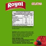 GELATINA ROYAL LIGHT FRUTOS ROJOS 25g