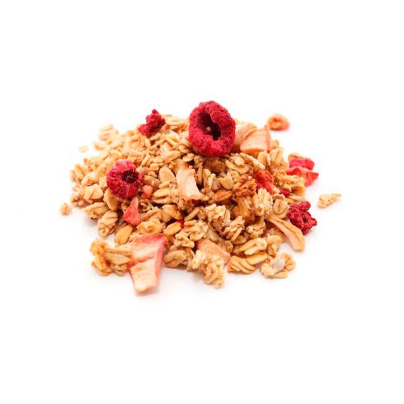 Granola-Frutos-Del-Bosque-1-224066