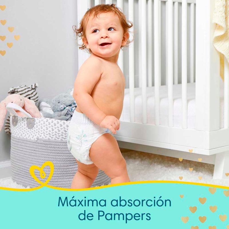 Pa-al-Pampers-Premium-Care-Xg-36u-4-942431