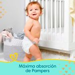 Pa-al-Pampers-Premium-Care-P-36u-4-942427