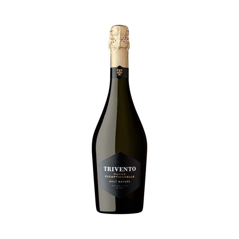 Champa-a-Trivento-Brut-Nature-750-Cc-1-20243