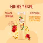 Acondicionador-Sedal-Jengibre-Y-Ricino-340ml-5-957165