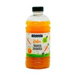 Jugo-Detox-Cuarto-Creciente-Zanhoria-Naranja-1-857509