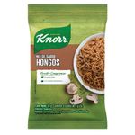 Saborizador-Knorr-Sabor-Hongos-X24g-2-958775