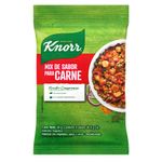 Saborizador-Knorr-Para-Carne-X24g-2-958780