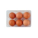 Huevos-De-Color-Carnave-6-U-1-4711