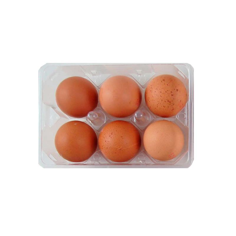 Huevos-De-Color-Carnave-6-U-1-4711