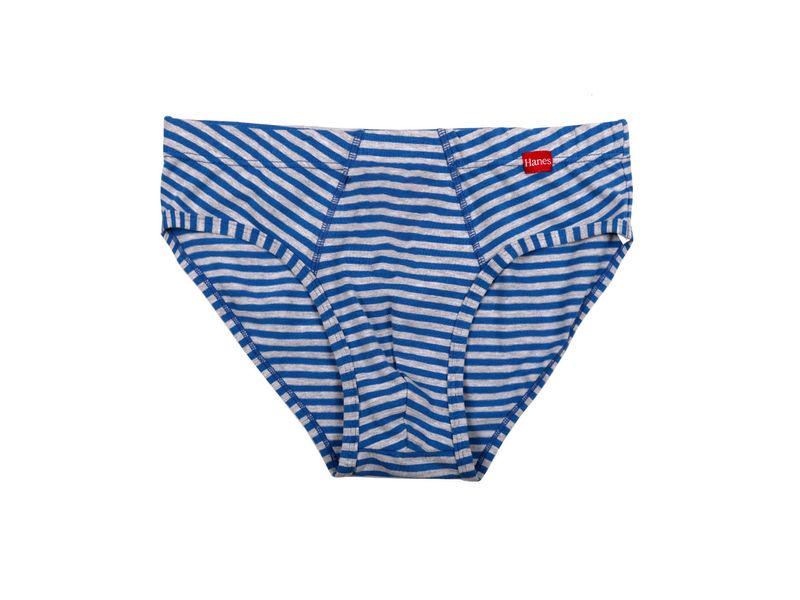 Hanes Striped Panties